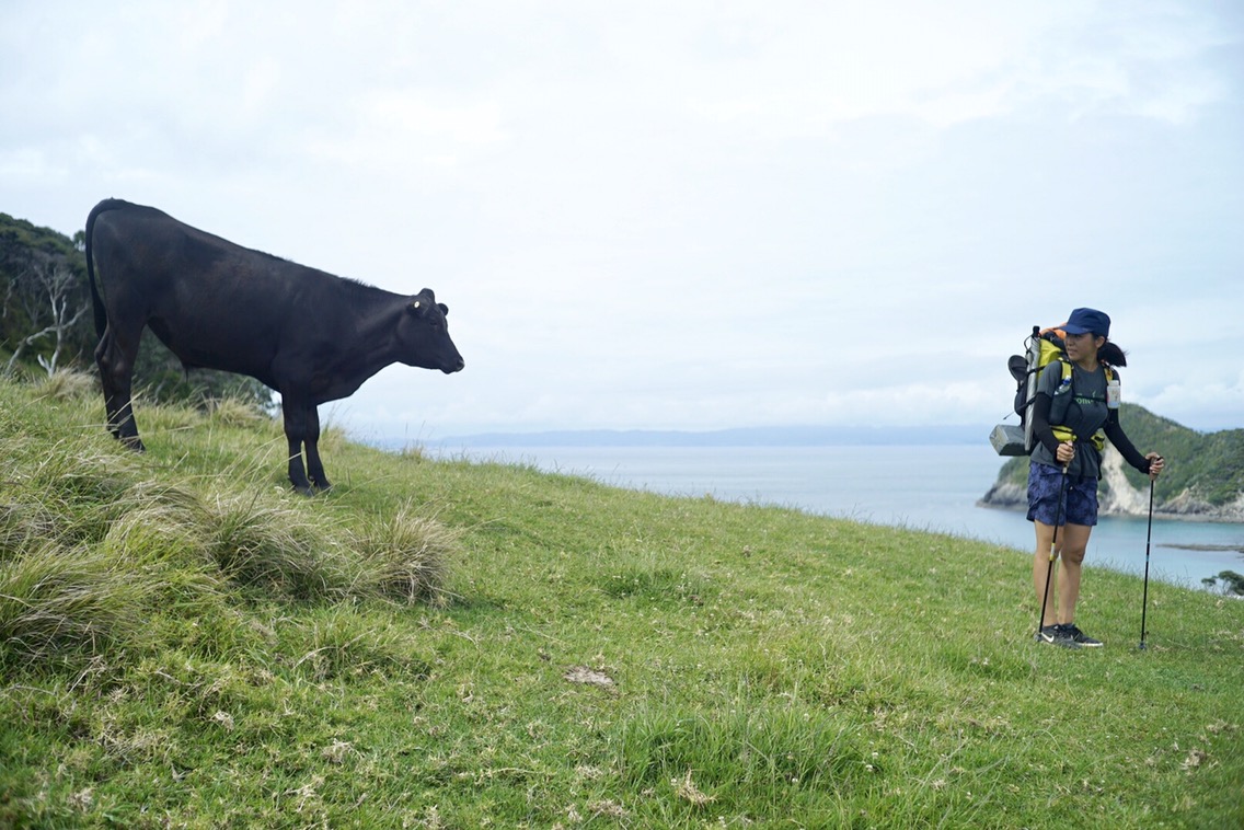 DAY20(11/25) Bream Head to Ruakaka 386km-410km