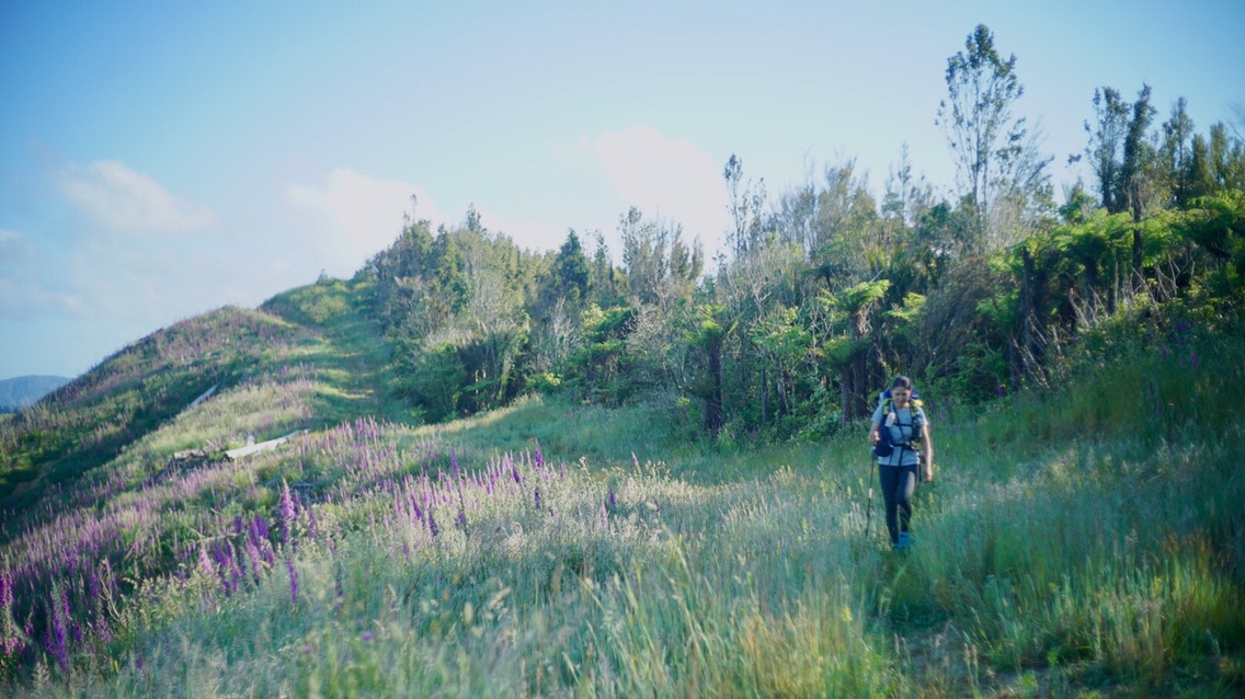 DAY32(12/7) Lower Mangatawhiri Campground to Podge’s Place 695km-720km