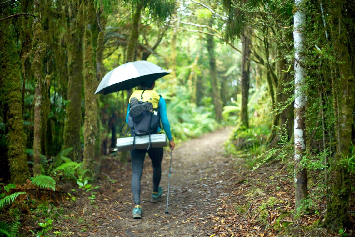 DAY43(12/18) Ngaherenga Campsite to Bog Inn 970km-989km