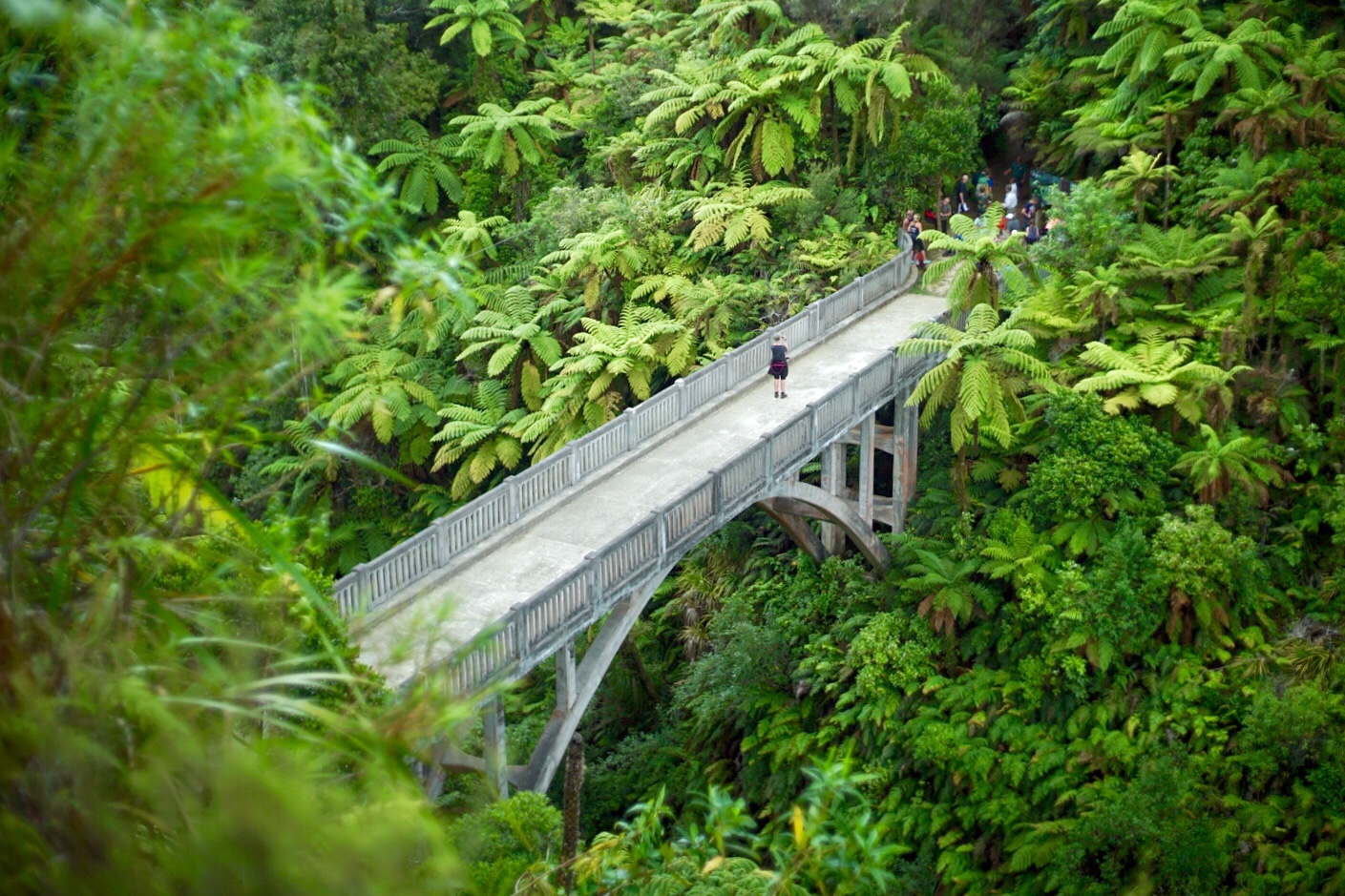 DAY58(1/2) John Coull Hut to Bridge to Nowhere Lodge (Great Walk 30km)