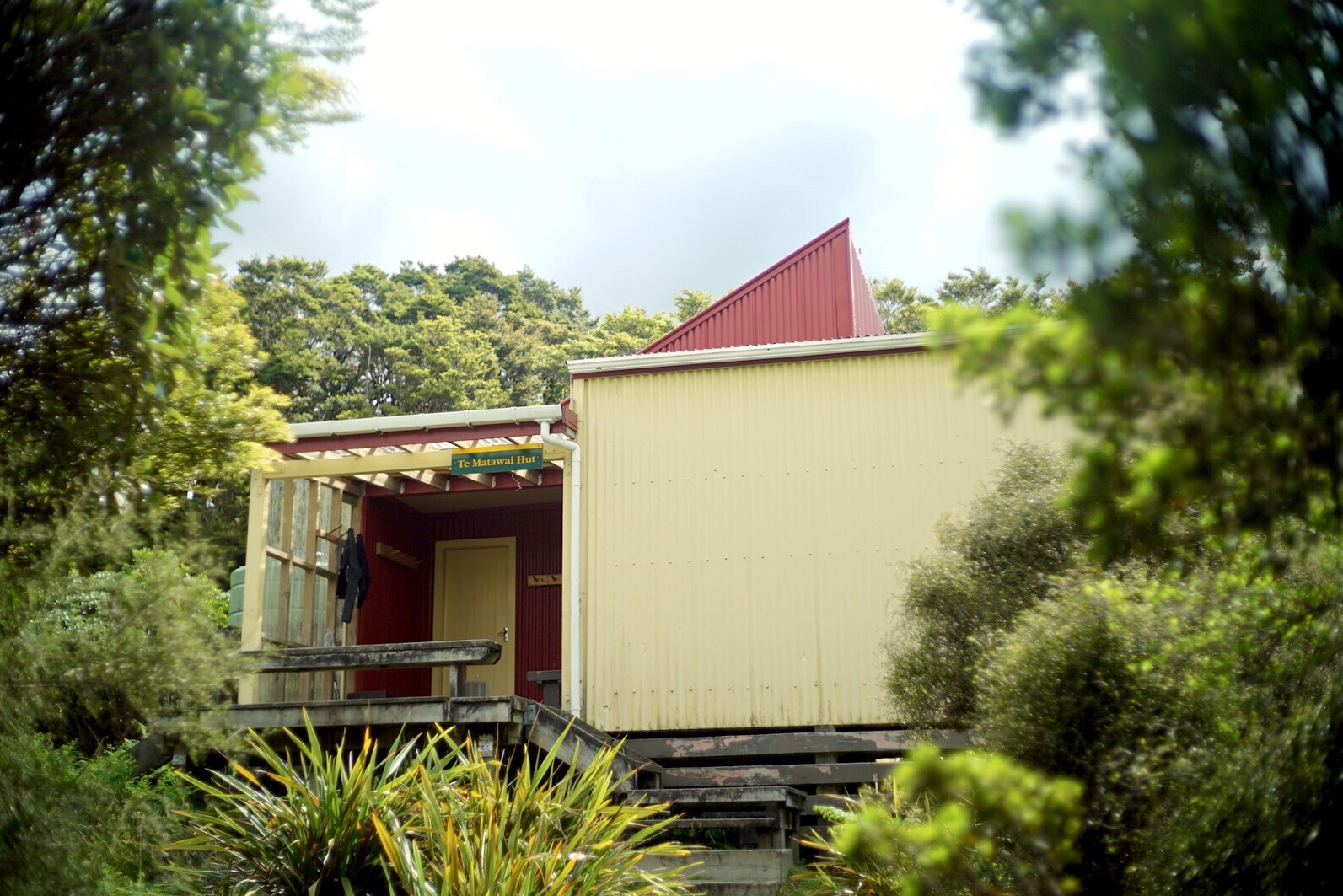 DAY69(1/13) Makahika Outdoor Pursuits Center to Te Matawai Hut 1569km-1588km