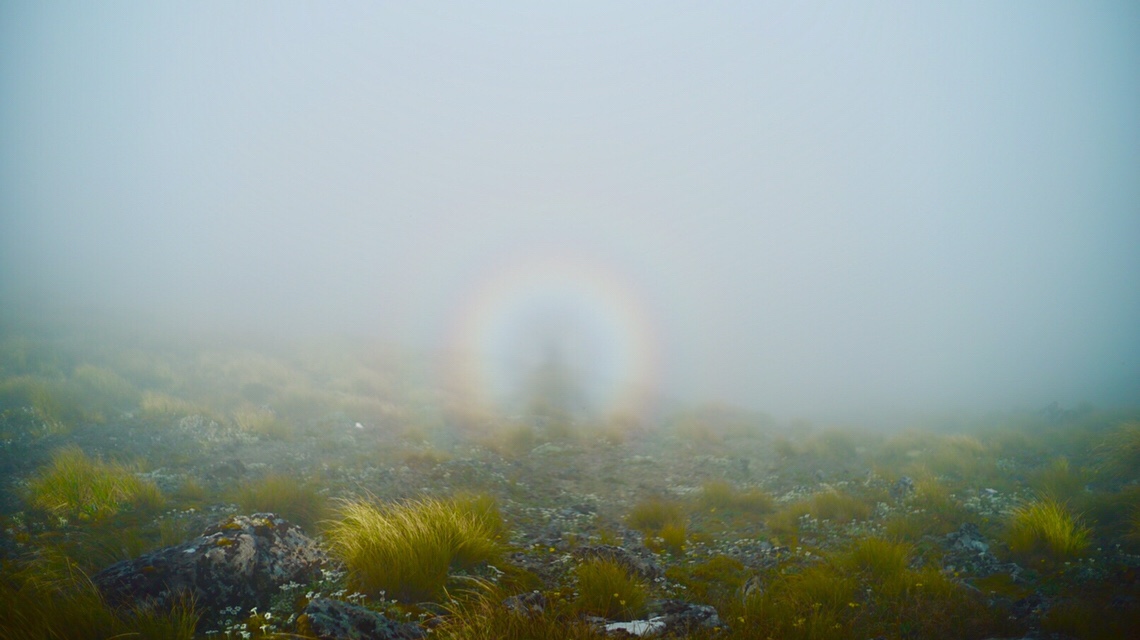 DAY71(1/15) Nichols Hut to Waitewaewae Hut 1600km-1608km