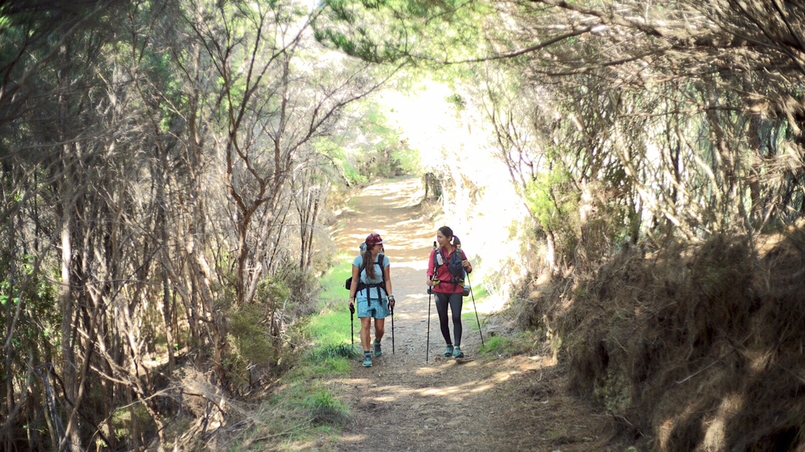 DAY78(1/22) Schoolhouse Bay Campsite to Bay of Many Coves Campsite 1737km-1766km