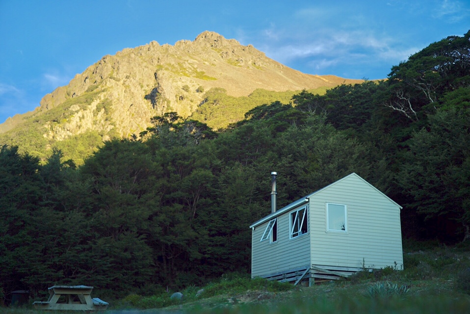 DAY85(1/29) Old Man Hut to Mt Rintoul Hut 1904km-1909km