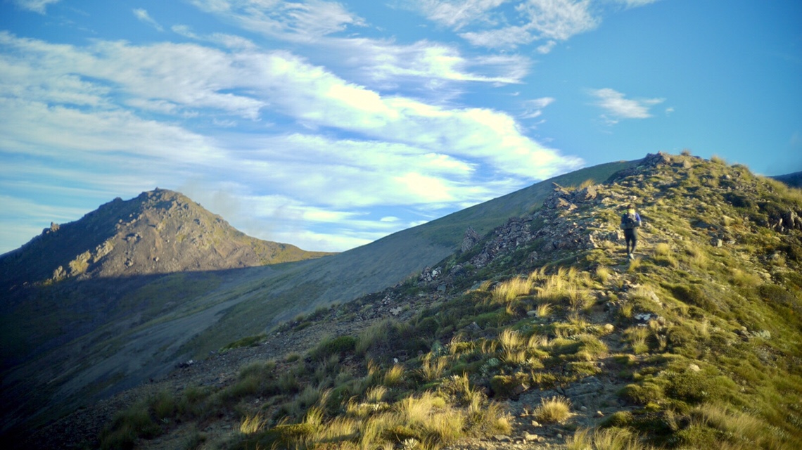 DAY87(1/31) Top Wairoa Hut to Red Hills Hut 1931km-1959km