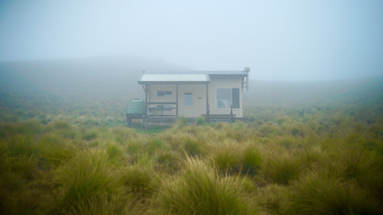 DAY121(3/6) Top Timaru Hut to Pakituhi Hut 2560km-2584km