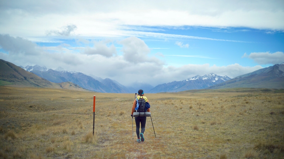 DAY112(2/25) Clearwater Track  to Crooked Spur Hut 2334km-2358km