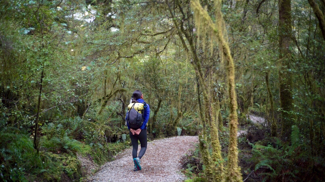 Milford Track – Day 2 –