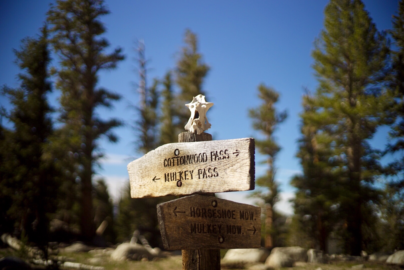 PCT Day32 Town Work (6/15, 735-Lone Pine)