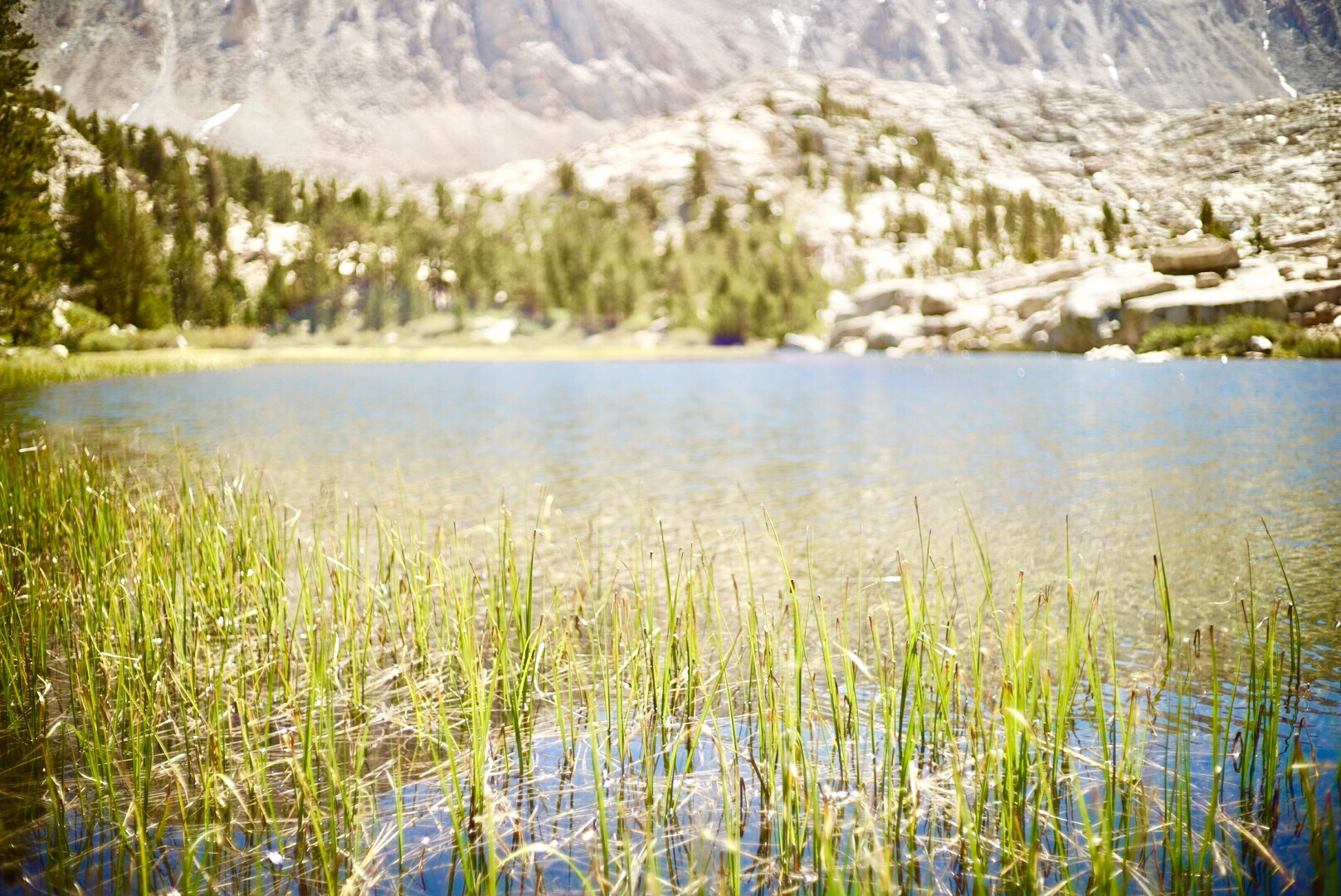 PCT Day34 Mt.Whitney 14,505ft (6/17, 760-JMT)