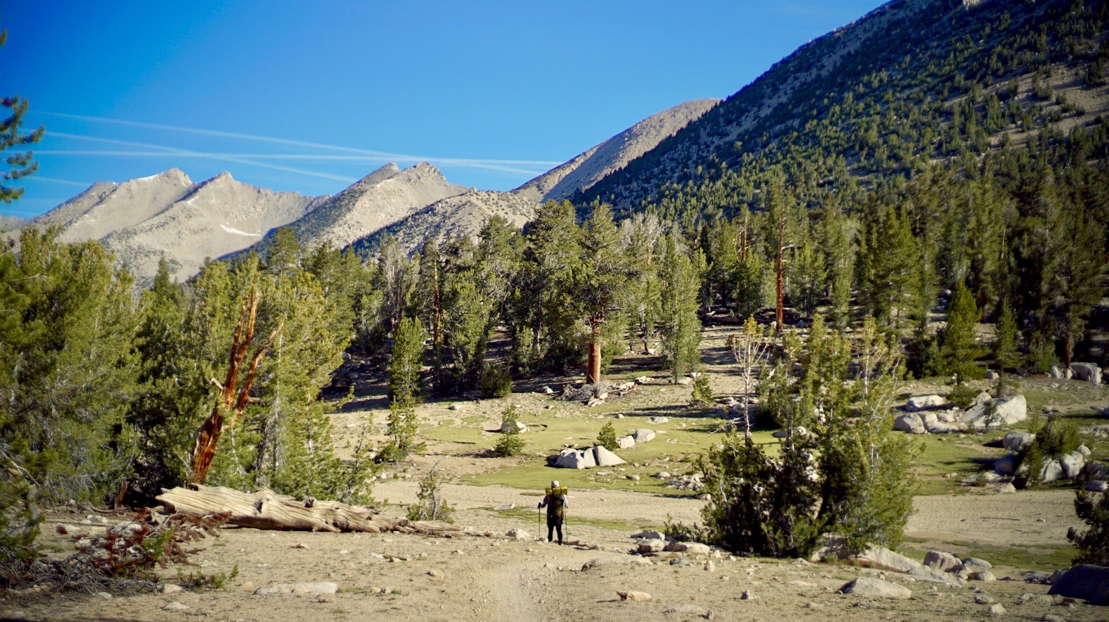 PCT Day36 Two Passes a Day (6/19, 787-809mile)