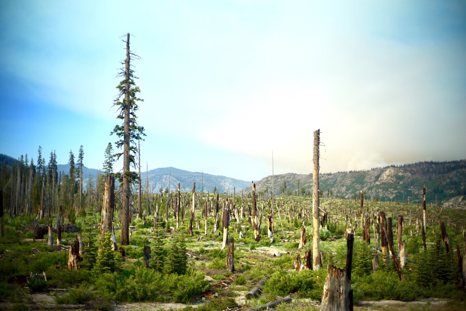 PCT Day41 Town Day (6/24, 901-Mammoth Lakes)