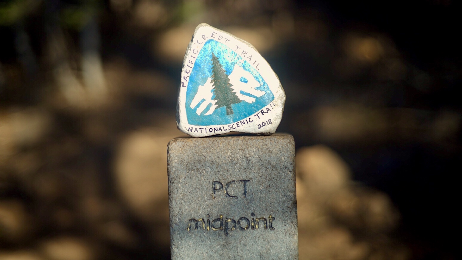 PCT Day59 Midpoint (7/12, 1,316-Chester)