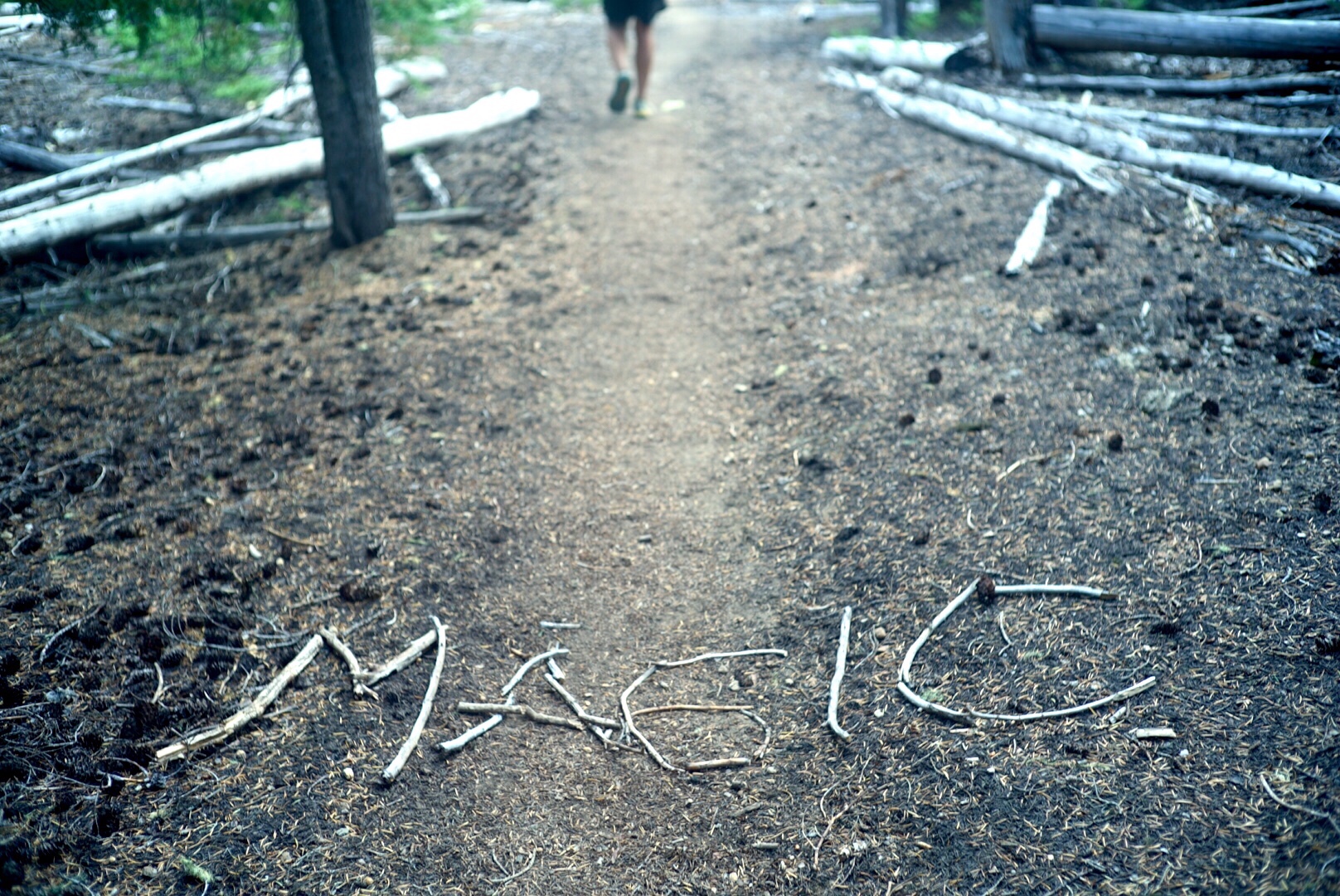 PCT Day79 Magic (8/1, 2,065-2,094mile)