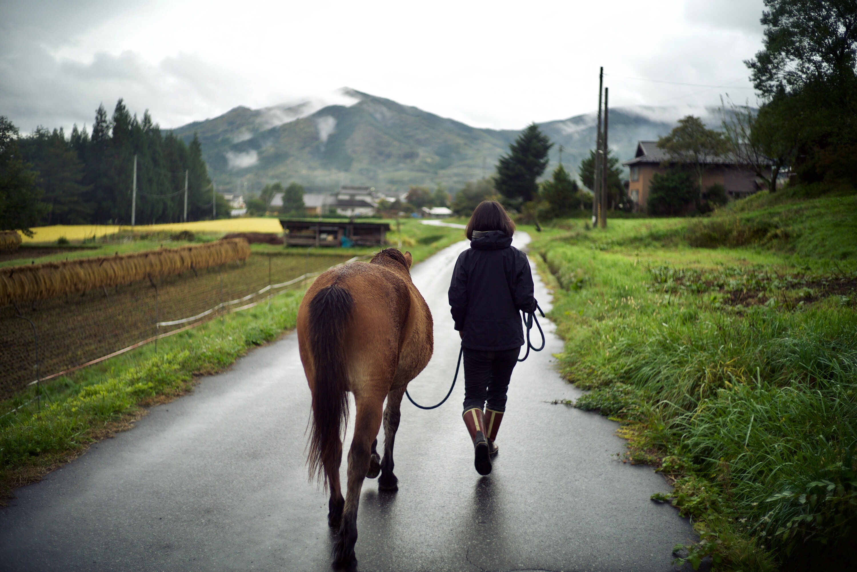 遠野への旅 #1 -朝の時間-